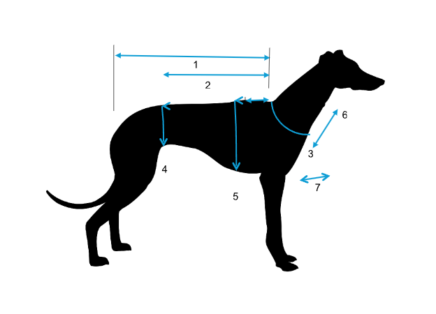 chart showing how to measure sighthound for Crystal Wolf coat