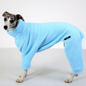 “Side view of a whippet wearing baby‑blue fleece pajamas, showing its slim build and soft fabric texture.”