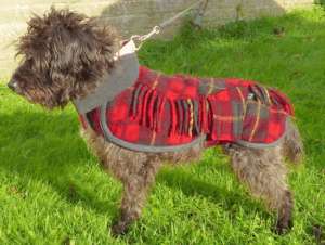 Greyhound Blanket Coat