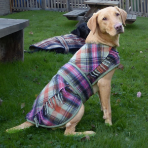 Blanket Coat - Medium dog