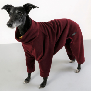 Side view of a lurcher wearing maroon fleece pajamas, showing its slim build and soft fabric texture.”