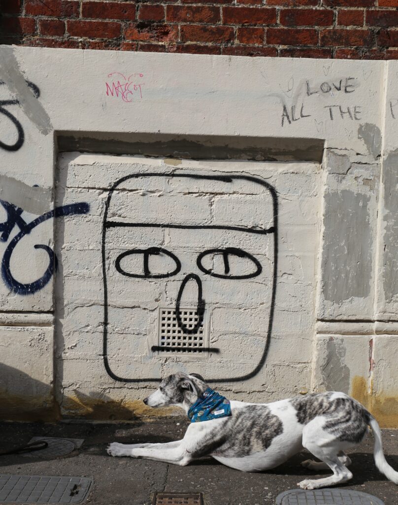 dog lying down in front of graffiti