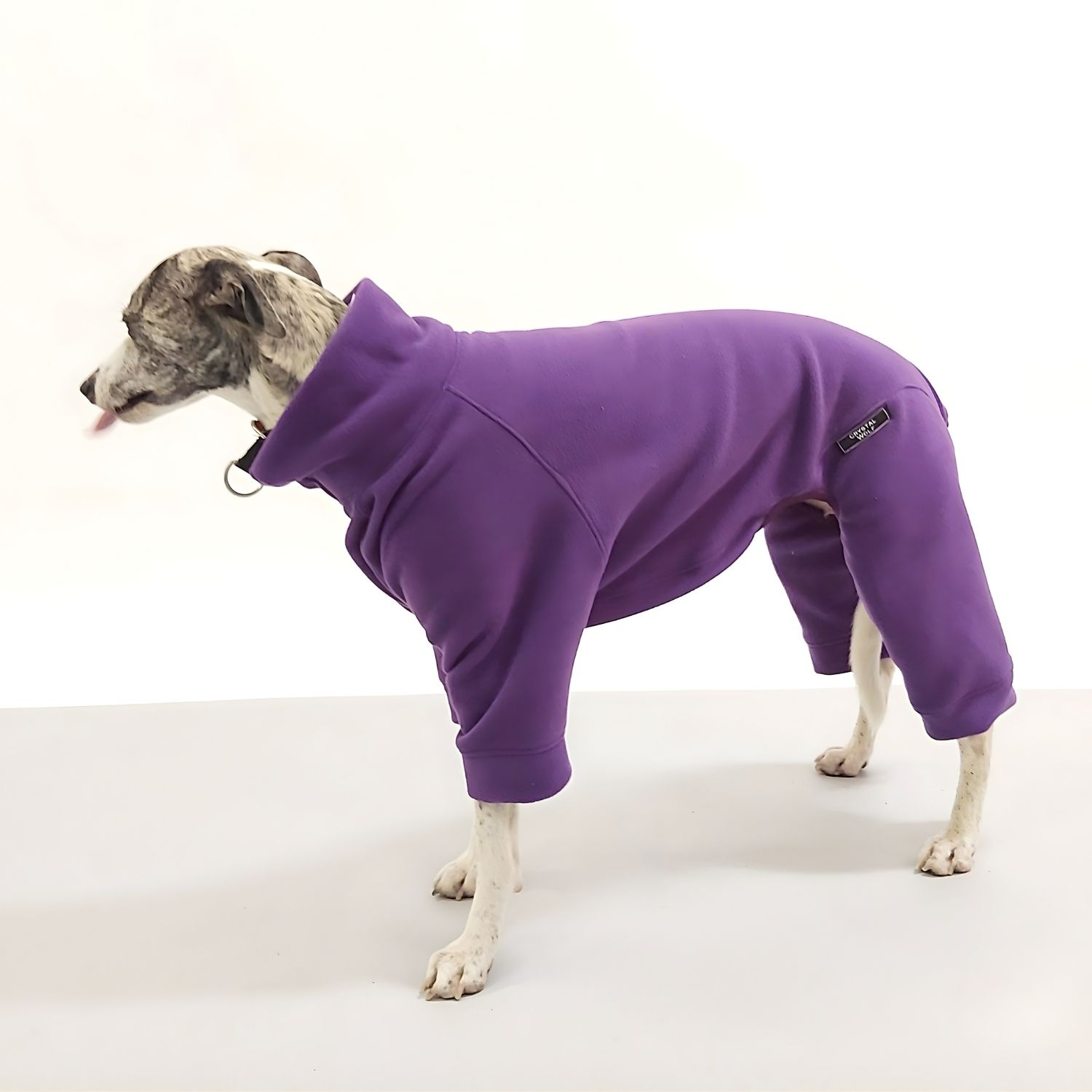 Side view of a whippet wearing purple fleece pajamas, showing its slim build and soft fabric texture.”
