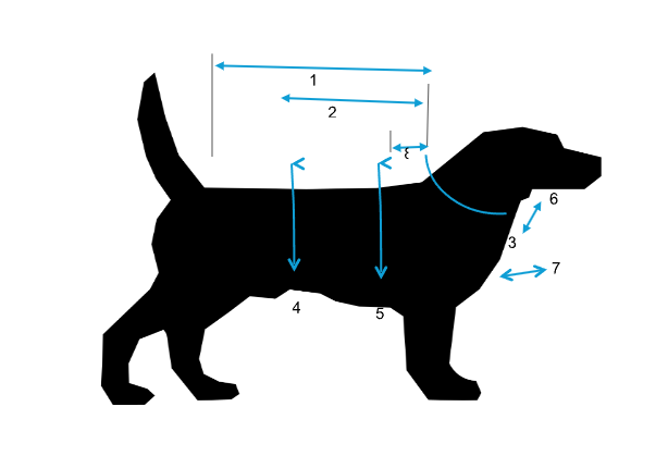 chart showing how to measure dog for Crystal Wolf coat