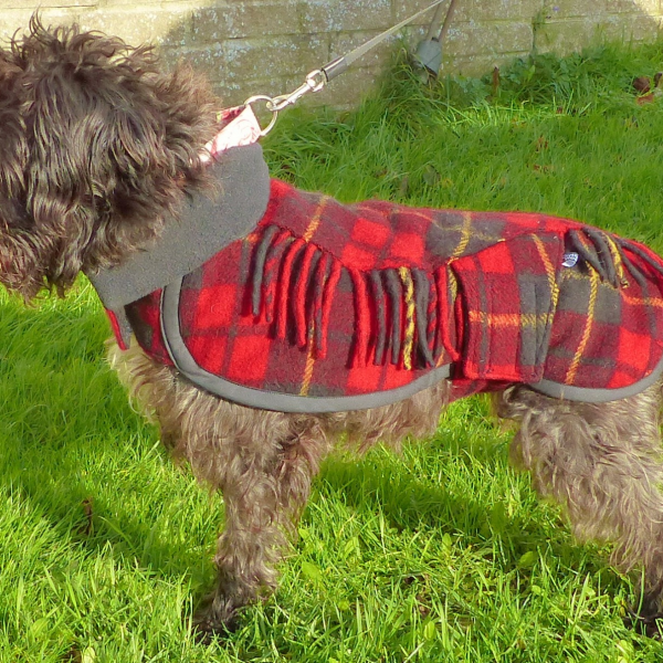 Small dog blanket coat in red